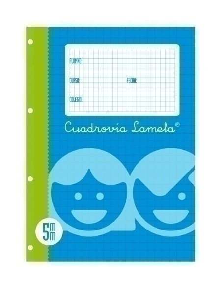 LAMELA RECAMBIO 4º 100h CDV. 5 - Pack de 10 unidades